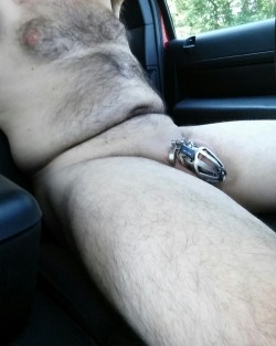 show-us-your-locked-cock:  Hubby showing