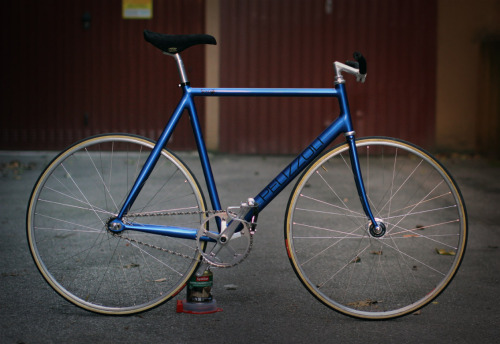 hipstersled:  http://hipstersled.tumblr.com/