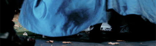 alice-is-wet:  lady-arryn: Just let yourself go.  take me away…