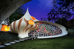 sixpenceee:  Living in a Shell - Nautilus