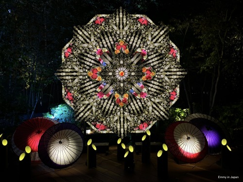 Princess Kaguya's Glowing Garden In Sakuramachi Kumamoto (かぐや姫の光る庭)