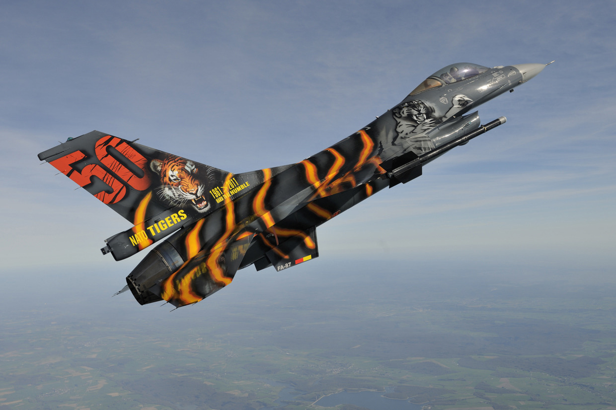 rocketumbl:  F-16 Unique Paint 