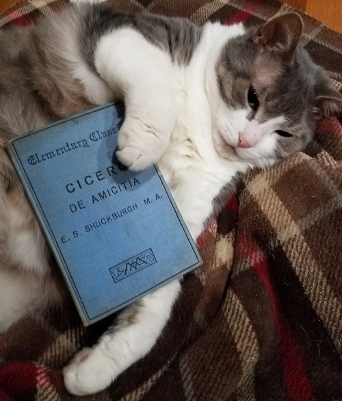 detroitlib:My babies love to read the classics