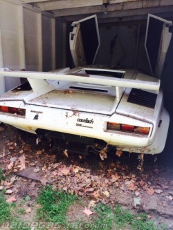 Daidegas: Abandoned Countach, Http://Www.daidegasforum.com/Forum/Foto-Video-4-Ruote/529454-Supercars-Incidenti-Crash-Compilation.html