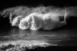 zepedroalvarez:  Oh boy!| Papoa | Portugal | 2014 |(via Zé Pedro Alvarez ») 