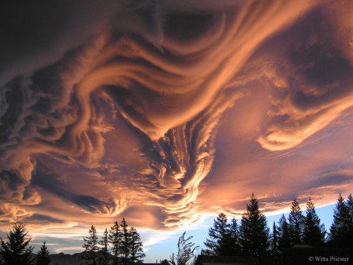 fyeahastropics:  Asperatus Clouds Over New Zealand(via APOD;    Image Credit & Copyright:   Witta Priester )  What kind of clouds are these?  Although their cause is presently unknown, such unusual atmospheric structures,  as menacing as they might