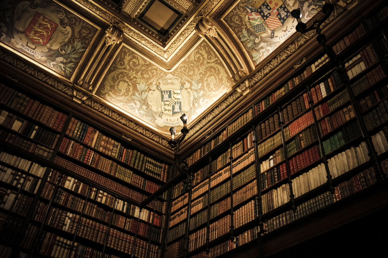 elle-may:   Magnificent Book Cabinet (le Cabinet des Livres) in the Château de