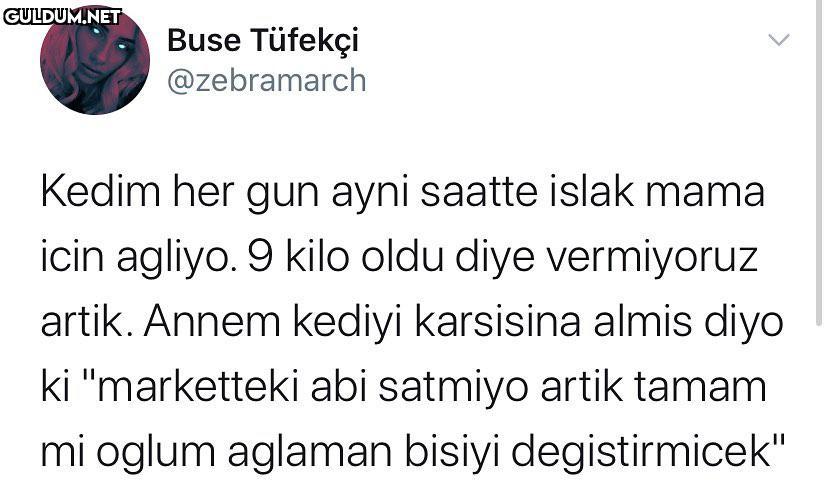 Buse Tüfekçi @zebramarch...