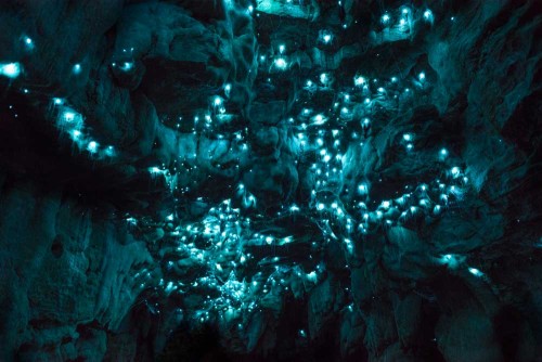 itscolossal:  Long-Exposure Photographs of a New Zealand Cave Illuminated by Glowing Worms  