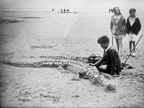 back-then:A crocodile on the beach - made out of sand (and some shells to add realism)⁣1923⁣Source: 