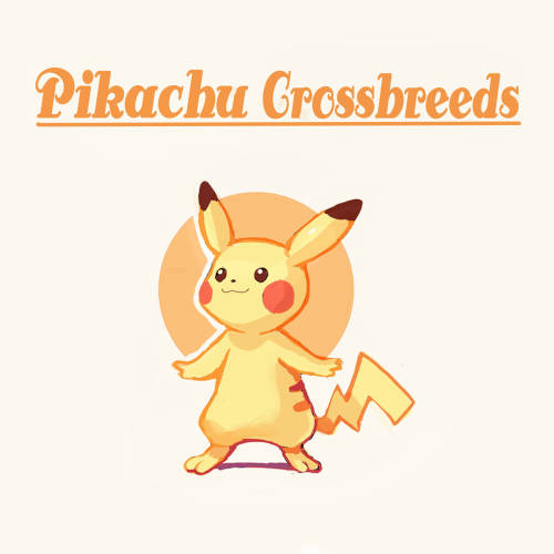 Pikachu crossbreeds I did for my zine awhile back, which is available for purchase here! http://onem