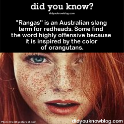 did-you-kno:  &ldquo;Rangas&rdquo; is an Australian slang term for redheads. Some find the word highly offensive because it is inspired by the color of orangutans.  Source