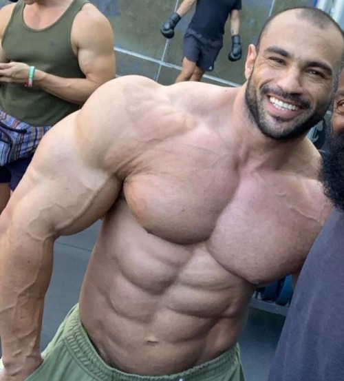 toughdudes:Mohamed Shaaban