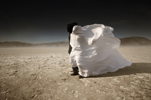 bodas de odio (di saul landell)