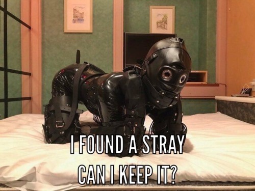 bondagefetishideas: rubberbondageboy: Want another? Love thy pets