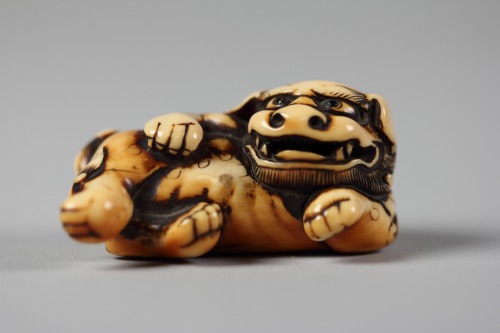 centuriespast:獅子牙彫根付Chinese Lion (Shishi)Period: Edo period (1615–1868)Date: mid-18th century Cultur