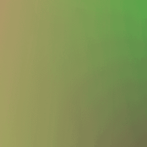 Colors :)
