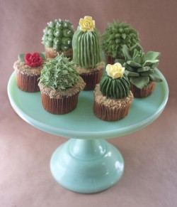 Diy: House Plant Cupcakes By Alana Jones Mann