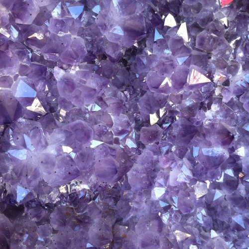 lpdispute: I went to Natures Treasures in downtown and there was this huge amethyst crystal cluster. 