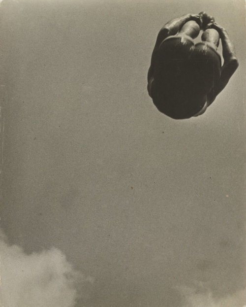 nobrashfestivity:Alexander Rodchenko Dive, 1934 