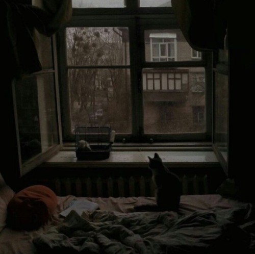 Somewhere Between Emotional And Emotionless
