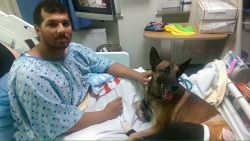 menandtheirdogs:  89th Military Police Brigade: Injured soldier and service dog recover in same hospital room | NBC4i.com                                                                                      