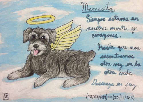 MamasitaYou’ll always be in our minds and hearts.Until we meet again in the other life.Rest in Peace.(03/03/1999)-(11/23/2015)She was an adorable dog :’( I miss her 