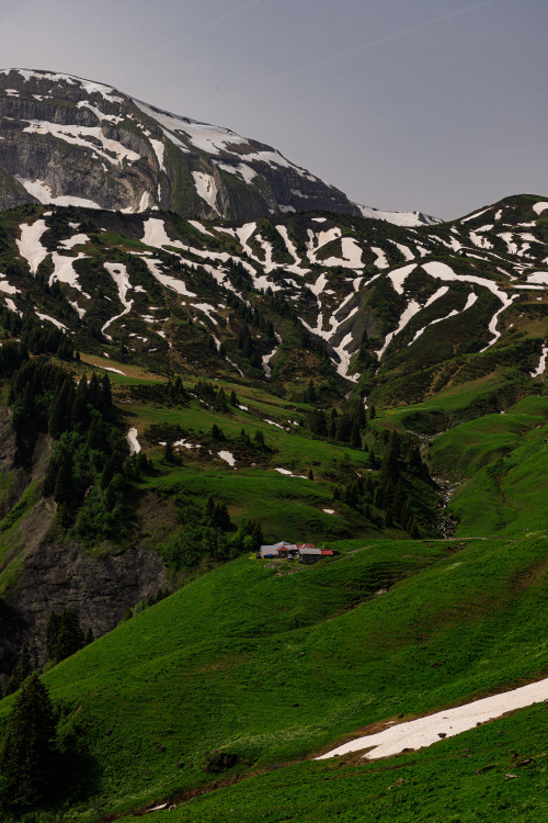 Alpine pastures - GR5, June 2021photo by: nature-hiking