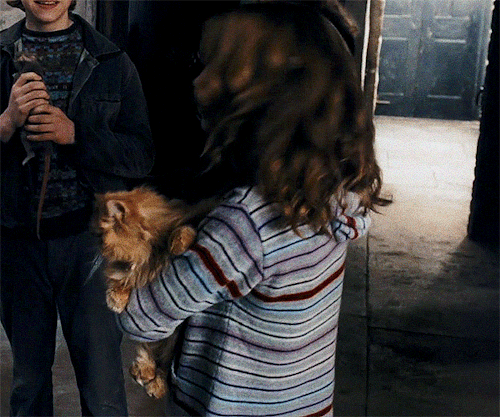 Hermione Looking At Harry (plus Crookshanks) Harry Potter And The Prisoner Of Azkaban (2004) Dir. Alfonso