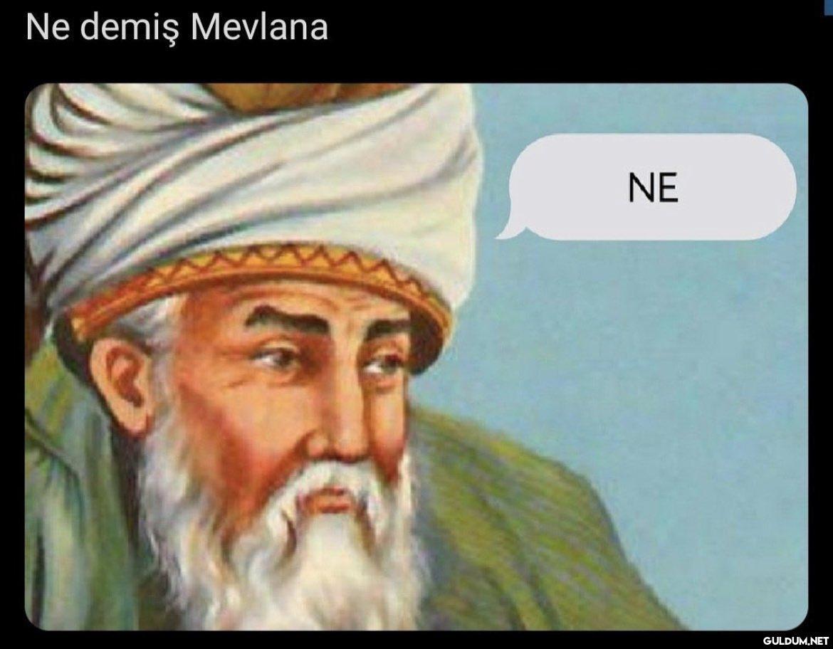 Ne demiş Mevlana NE   Kaynak