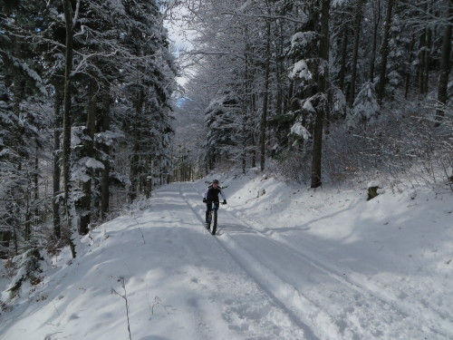 29inch:  Great Day In Lots Of Fresh Snow Distance: 46.3 km (28.8 miles)Elevation:1’373 m (4’504 feet