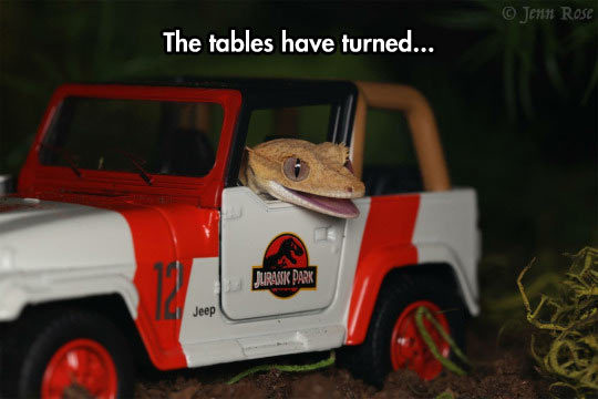 srsfunny:  They Are Learninghttp://srsfunny.tumblr.com/