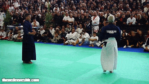 themsleeves: High precision iaido - Yoseikan Budowith 10th Dan Hiroo Mochizuki master (was 9th on th