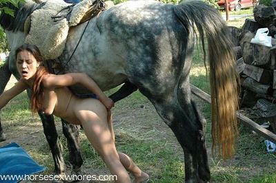 kittyskathouse:  Mmmmm those fat horse cocks adult photos