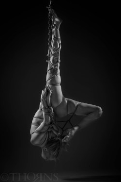 greeneyes-smile:  tho4ns:  Model: SaffronTresses   Photo/Rigging: Tho4ns (Rope courtesy of Mocojute)  Amazing rope 