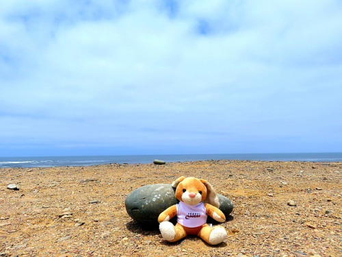 Located In The Famous Skeleton Coast Concession Between The Hoarusib And Hoanib Rivers In The Skeleton