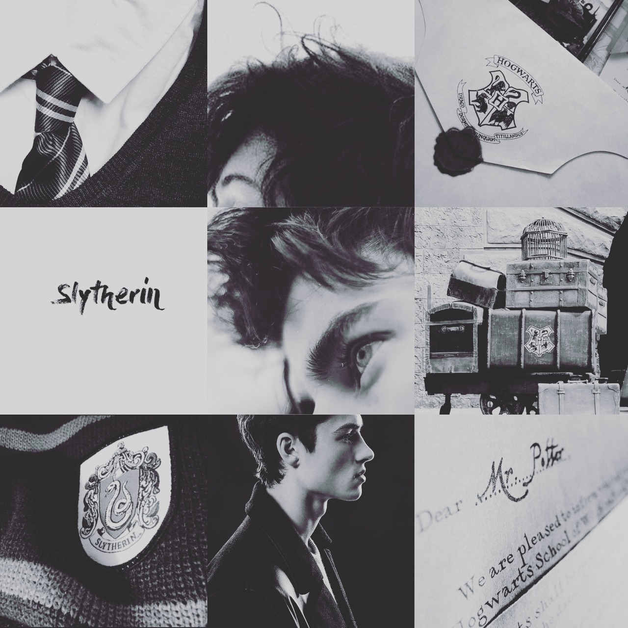 Aesthetic Mood Albus Severus Potter Aesthetic