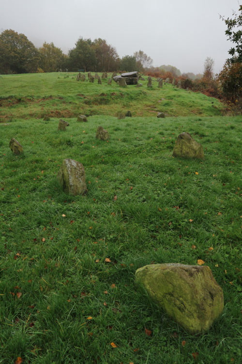 Pontypridd Rocking Stone, South Wales, 29.10.16. Only the central stone, a notable ‘glacial erratic’