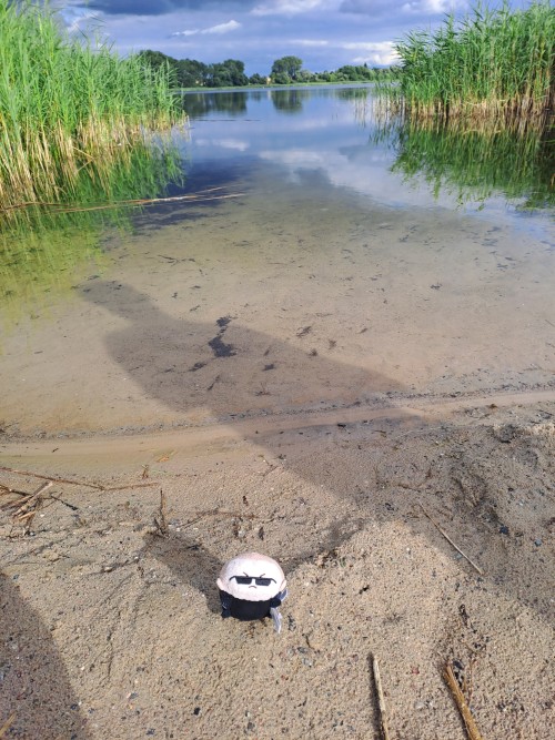 Trip To A Lake