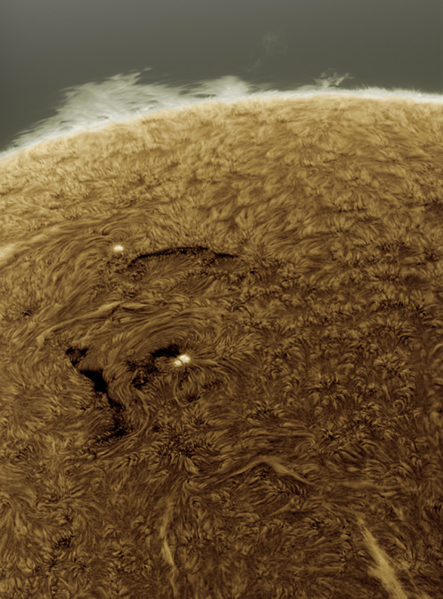 The Shaggy Sun: Negative image of the Sun shot by Alan Friedman on Sept. 1, 2014 [799x1080]
