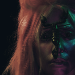 virginhouse:  It’s aphrod-i-sy 