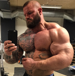 muscledog:  Fuck yea