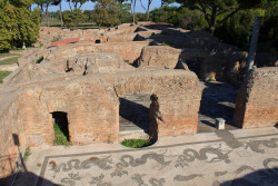 via-appia:  The Baths of Neptune, Ostia Antica, built 1st-2nd century by Hadrian and Antoninus Pius Mosiac floor: Neptune, his wife Amphitrite, and mythical sea creatures   wow just wow