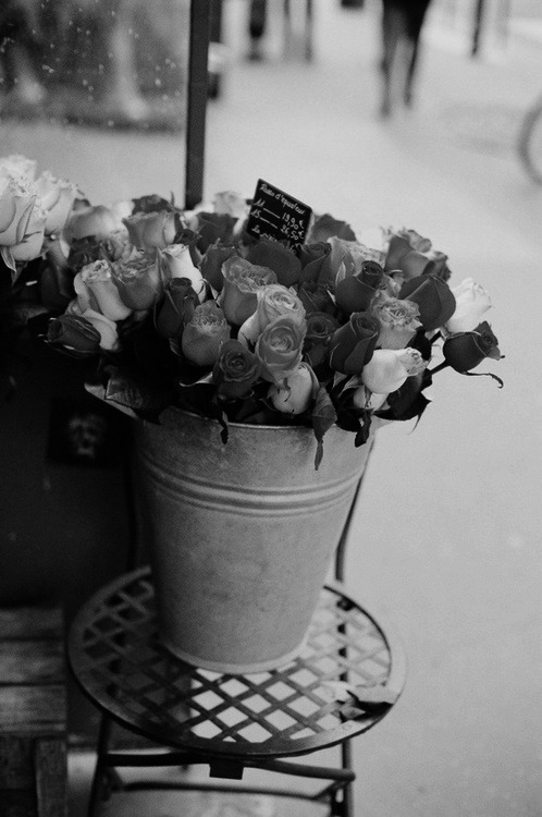 http://forevermydreams93.tumblr.com/post/102702656375