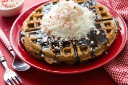 fullcravings:  Gingerbread Waffles 