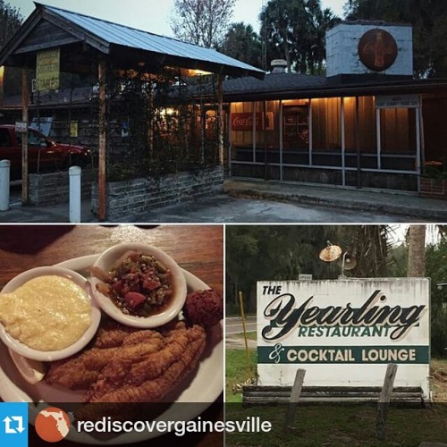 It&rsquo;s one of our favorites, too! #Repost @rediscovergainesville ・・・ For more than 50 years,