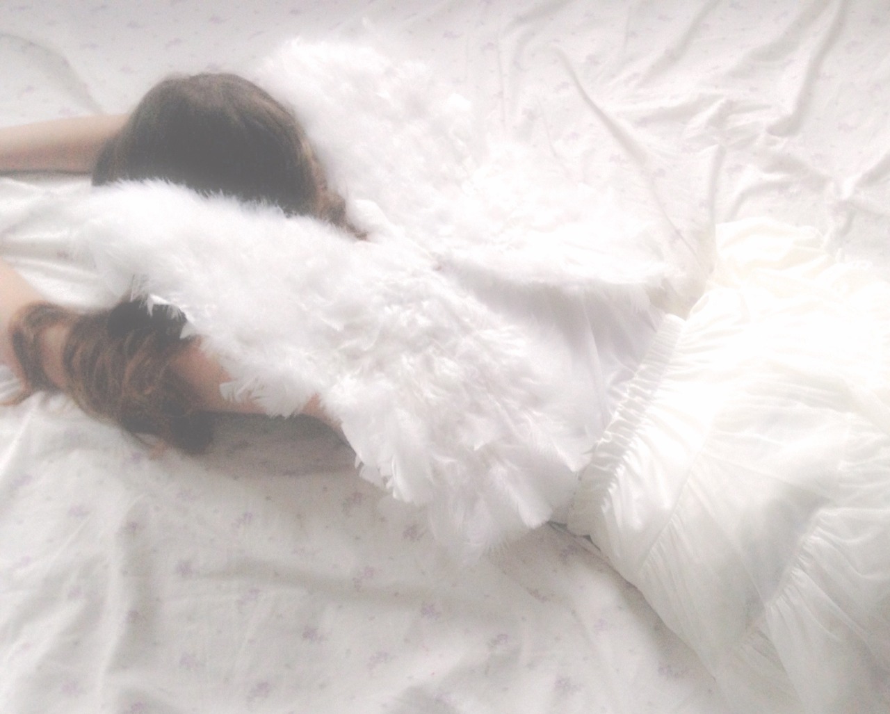 timidflower:  *･ angel wings ･* 