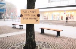 adhibition:  If trees could ask… 