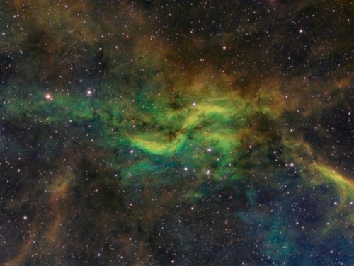 thenewenlightenmentage: The Propeller Nebula Image Credit: Craig and Tammy Temple 