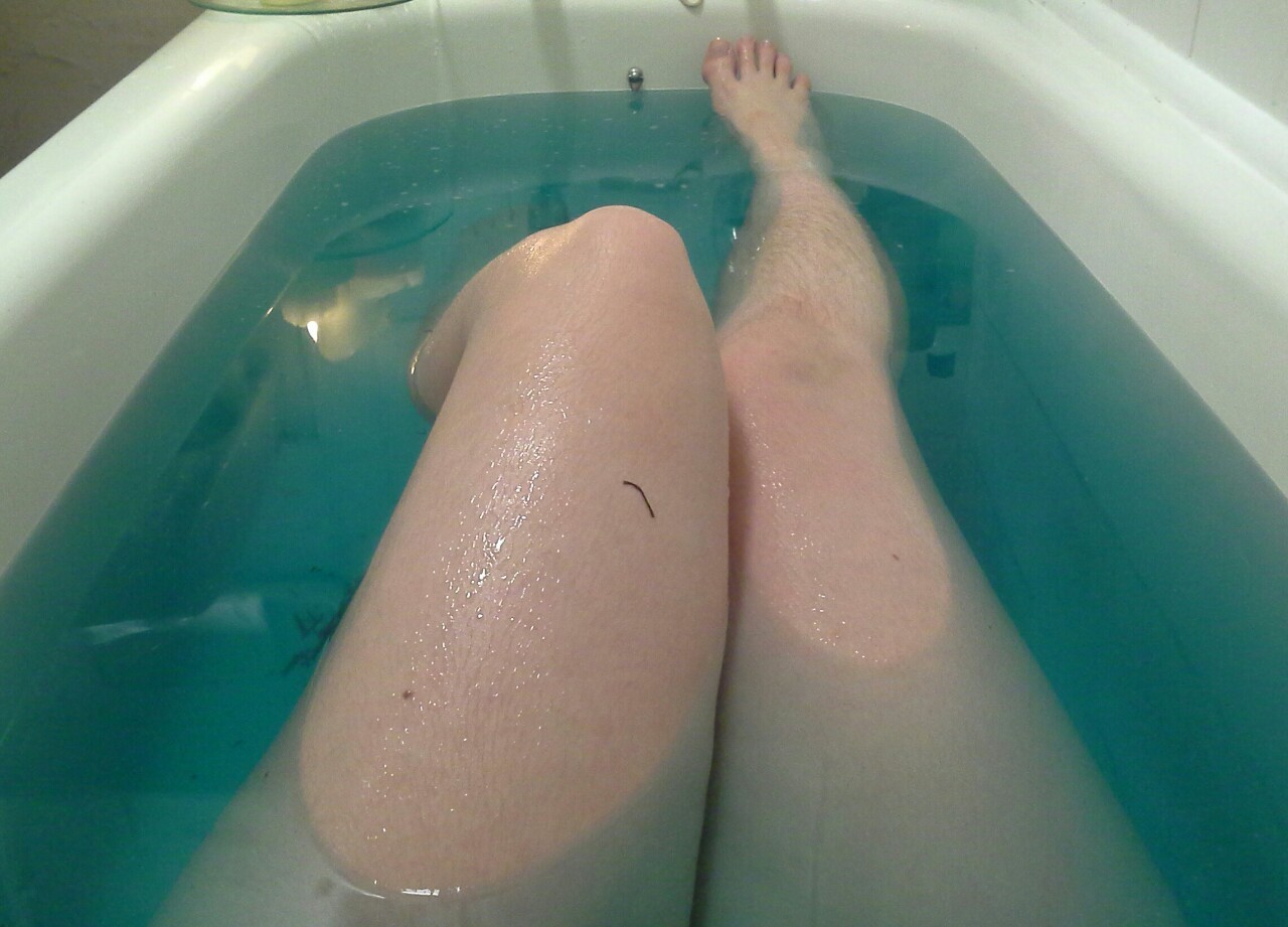 shokushu-princess:  Mermaid bath